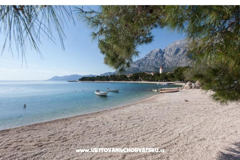 Apartamenty Orka Promajna – foto 18