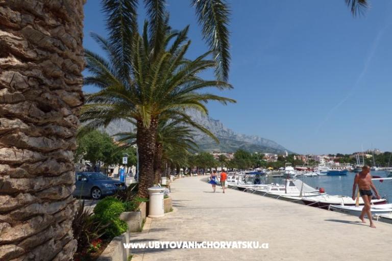 Apartamenty Ruza – foto 14