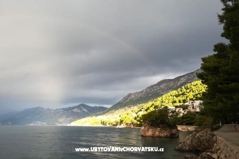 Apartament Rose – foto 17