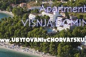 Apartamenty Mimoza – foto 8