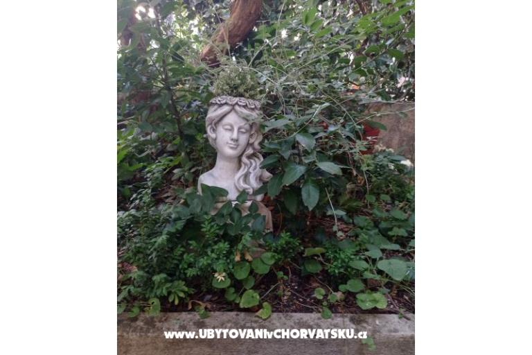Bukovac – foto 20