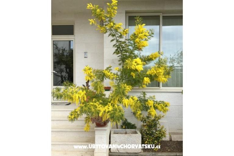 Dom Grazia – foto 7
