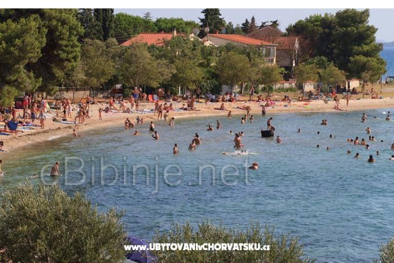 Aparatmani Adrian – foto 17