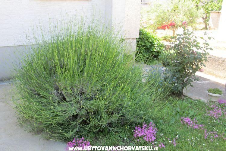 Apartament Dara – foto 14