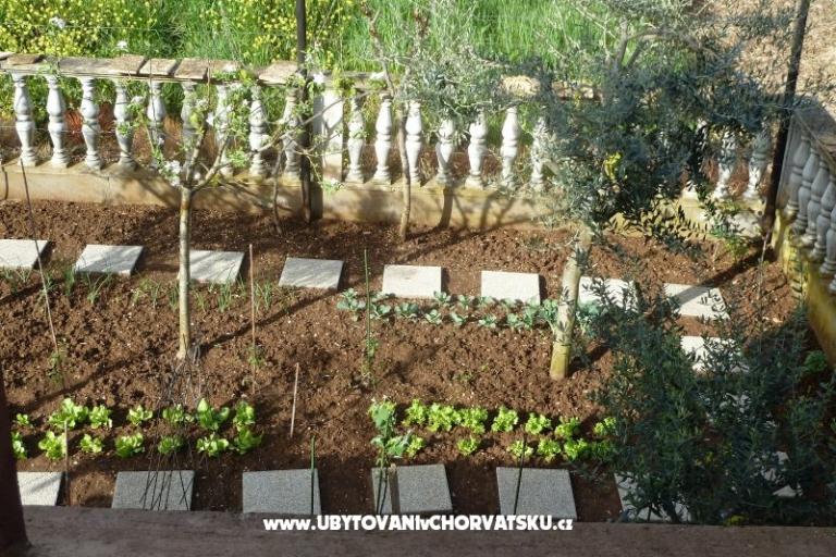 Apartament Petar i Agica Sabljak – foto 14