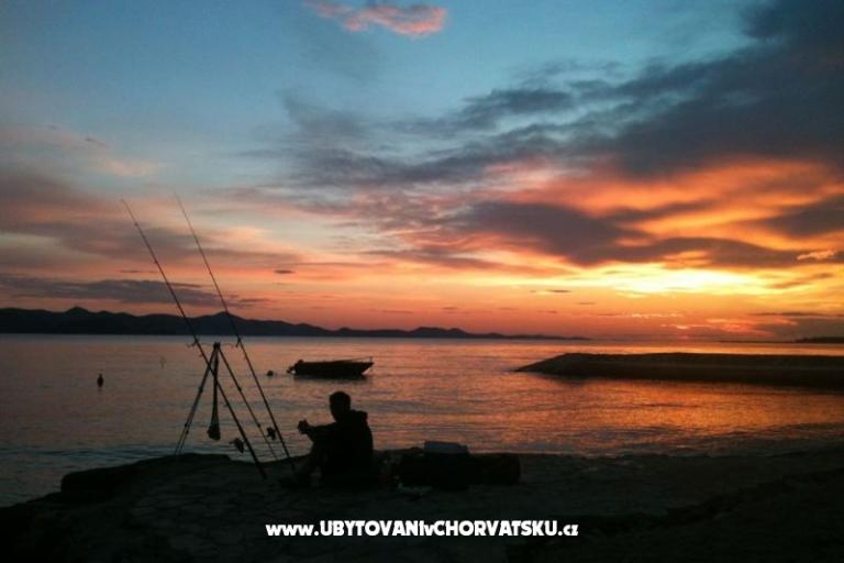 Apartamenty Bralić – foto 18