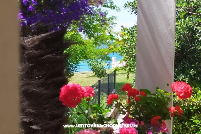 Apartamenty i sobe Sandra – foto 14