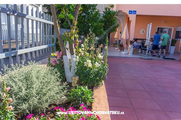 Apartamenty Ljubica i Toše – foto 11
