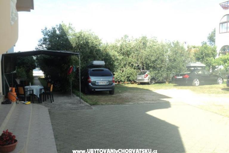 Apartamenty  Maslina – foto 6