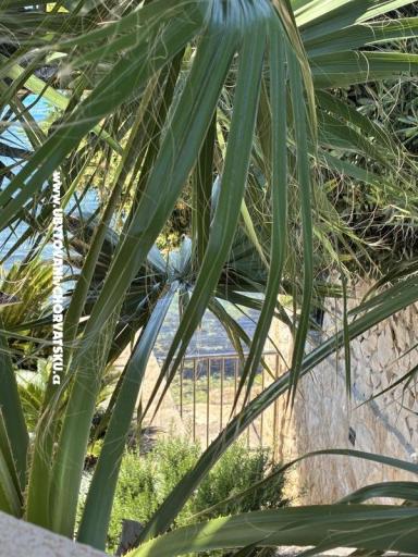 Apartamenty Šime – foto 12