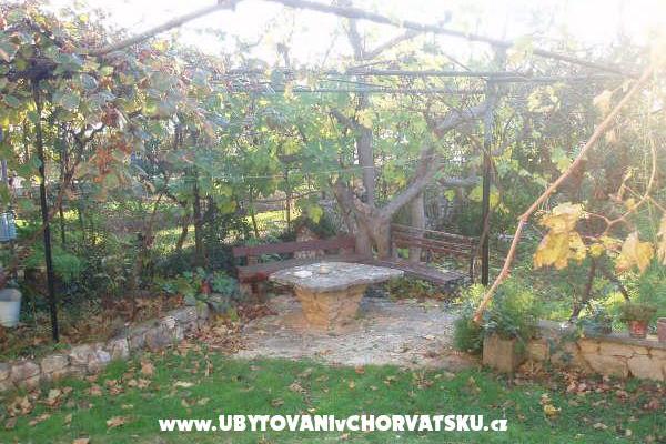 Apartamenty and Dom Spika – foto 6