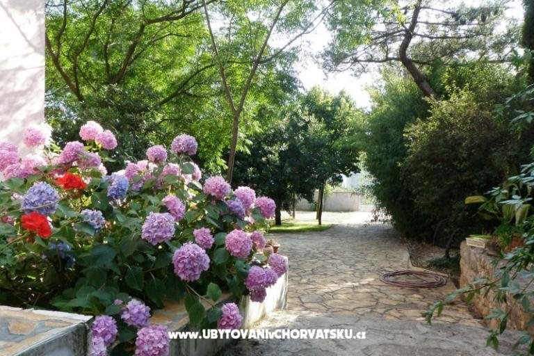 Apartamenty Lolinka Bibinje – foto 12