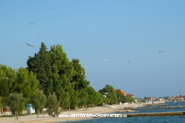 Bibinje Apartamenty – foto 11