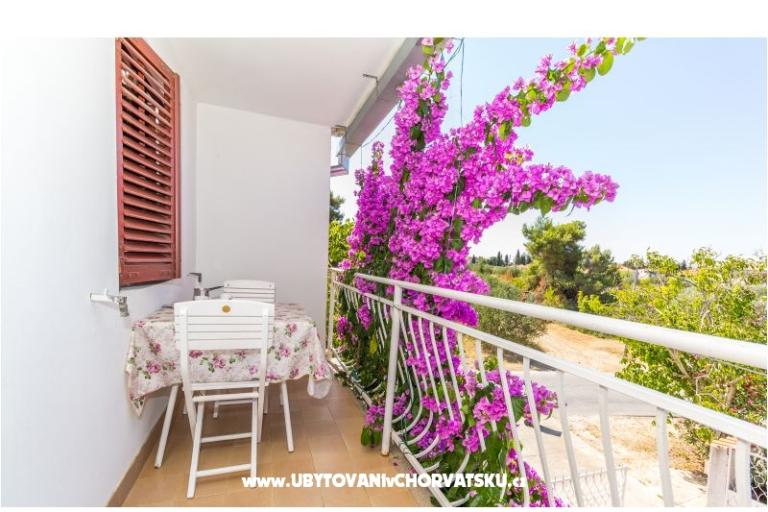 Apartamenty Ana – foto 6