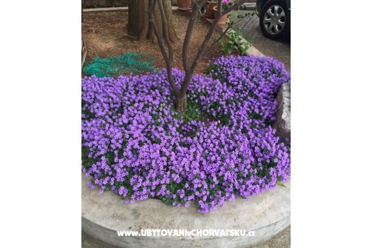 Apartamenty Jurov – foto 11