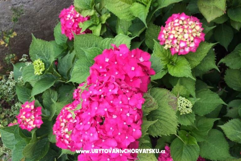 Apartamenty Jurov – foto 15