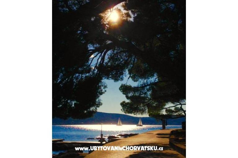 Apartamenty Lucija – foto 17