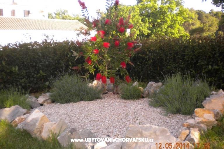 Apartamenty M&amp;M – foto 10