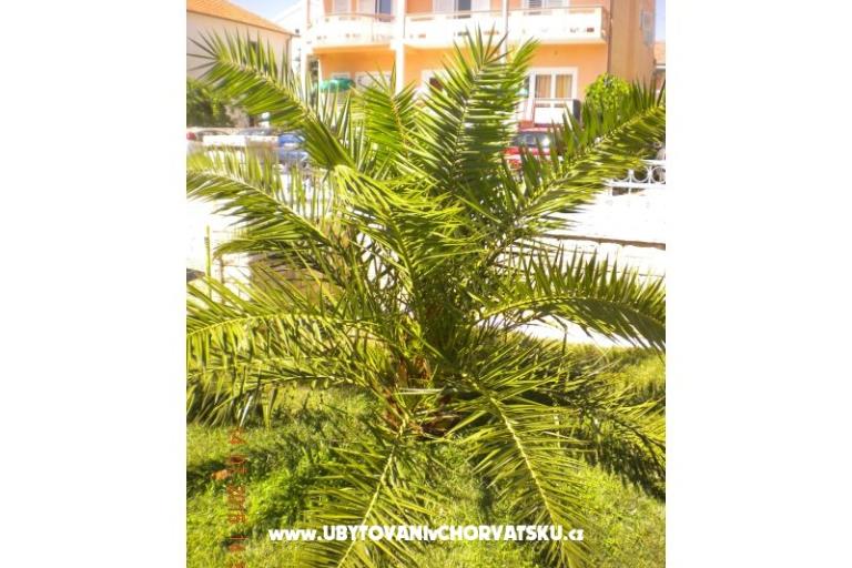 Apartamenty M&amp;M – foto 9