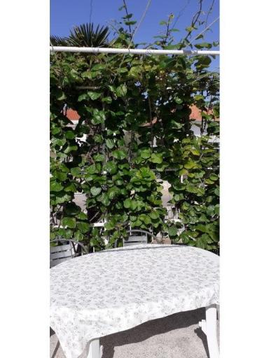 Apartamenty Margarita – foto 15