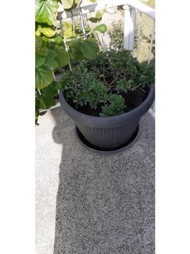 Apartamenty Margarita – foto 2