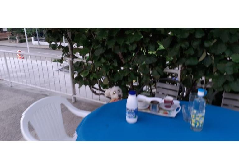 Apartamenty Margarita – foto 4