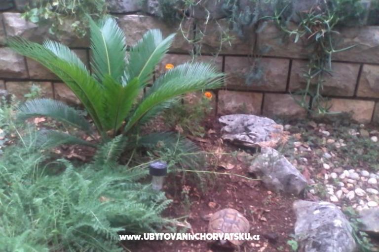 Apartamenty Mitja – foto 18