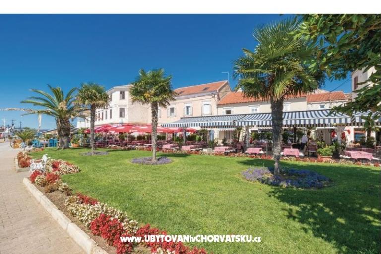 Apartamenty Nikola – foto 14