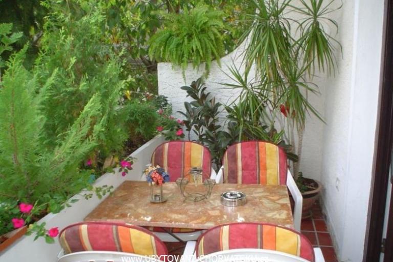 Apartamenty Sandra – foto 8