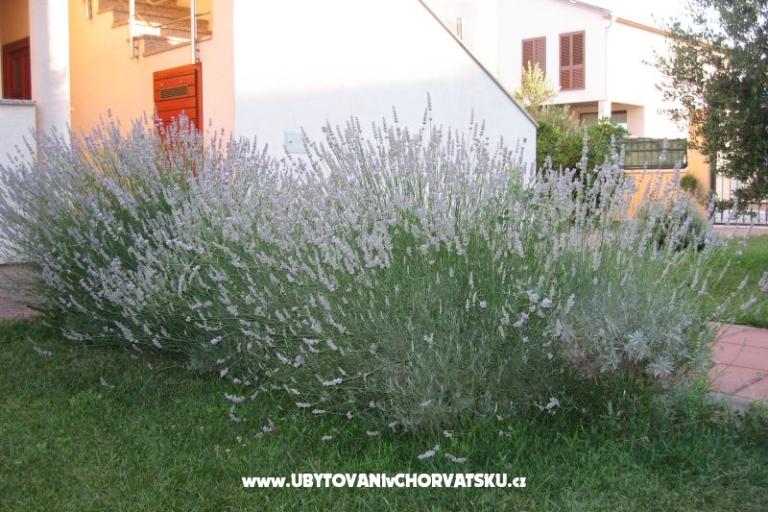 Apartamenty Blandona – foto 7