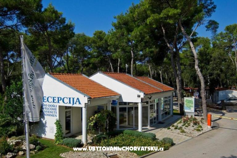 Kempovi Dalmacija – foto 4