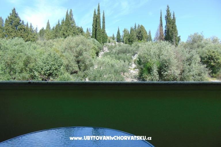 Apartamenty 7+ – foto 11