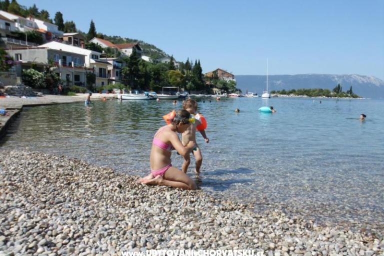 Apartamenty  Petar – foto 12