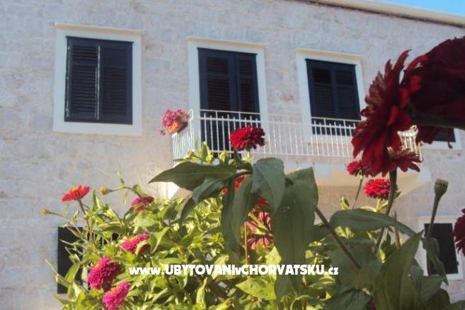 Apartamenty  Petar – foto 3