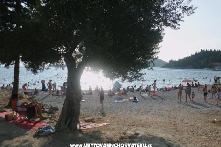 Apartamenty  Petar – foto 4