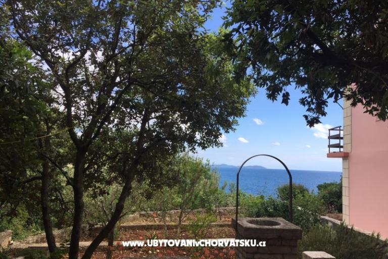Apartamenty Kraljević – foto 18