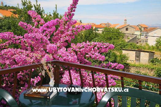 Apartament Vladimir *** – foto 6