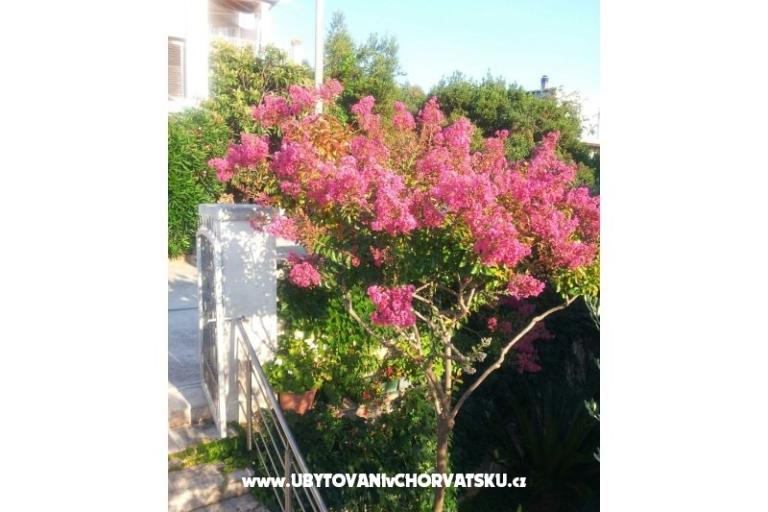 Apartamenty Kunac – foto 13