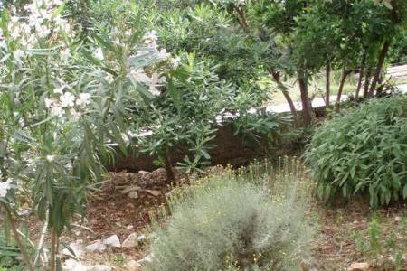 Apartamenty Nada – foto 12