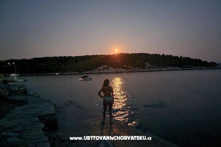 Apartamenty Rogosic Osibova – foto 17