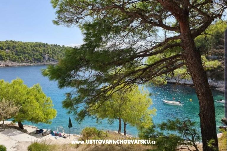 Apartamenty Rogosic Osibova – foto 2