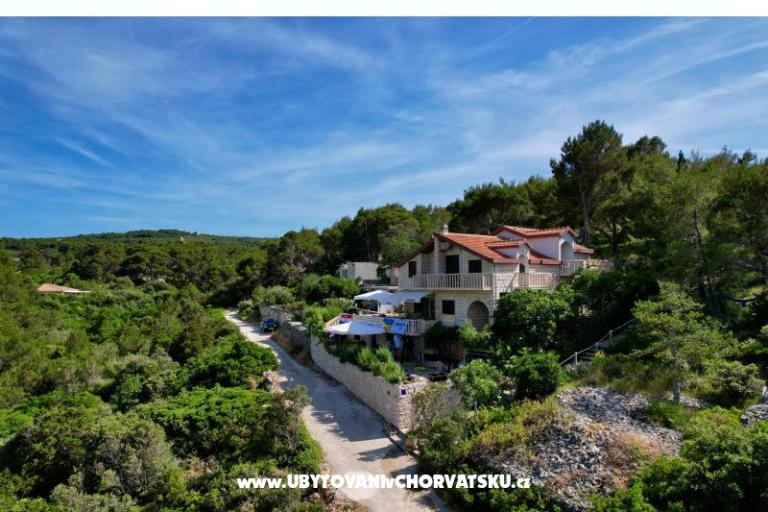Apartamenty Villa Dragica – foto 5