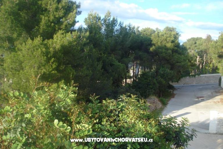 Apartamenty Vladislavic – foto 8