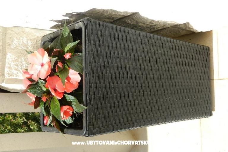 Apartamenty JELAVIĆ – foto 9