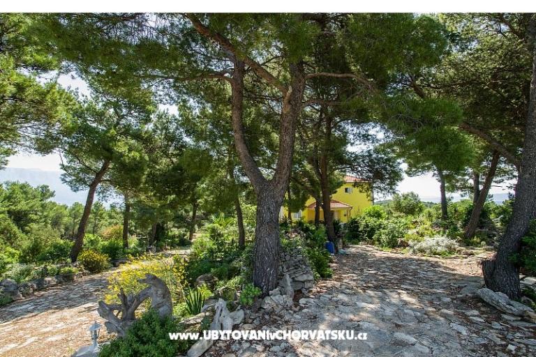 Apartamenty Chiaro – foto 10