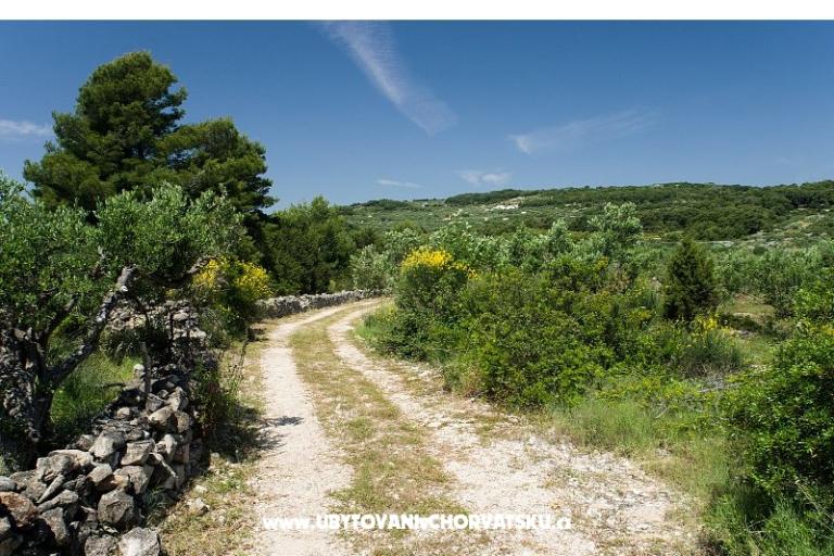 Apartamenty Chiaro – foto 14