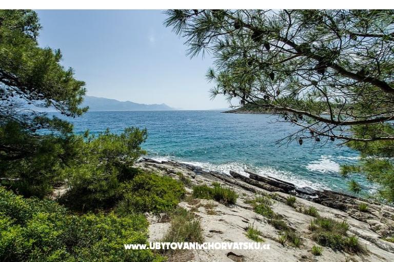 Apartamenty Chiaro – foto 7