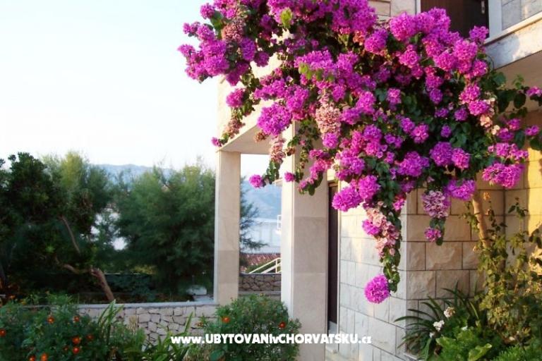 Apartamenty Villa Vanja – foto 6