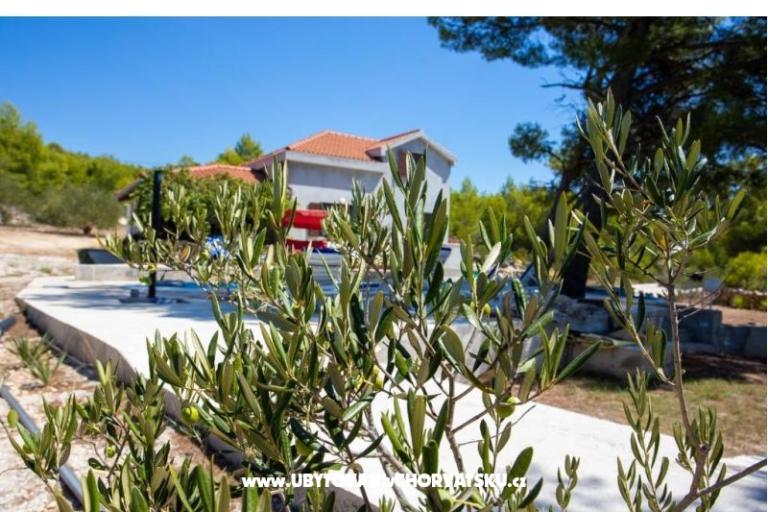 Family Dom Futura – foto 5