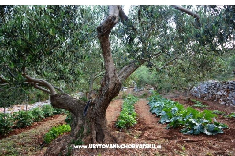 Dom Sweet Dreams – foto 15